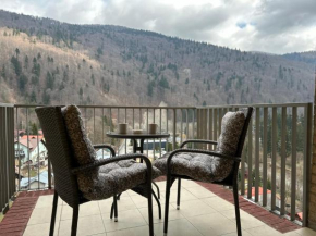 COLETTE Studio BelleView